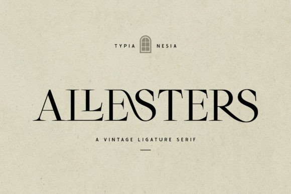 Allesters Serif Font: A Craft-Powered Typeface for Handmade Products and Printables