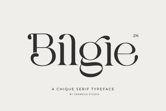 Bilgie: A Serif Font for Handmade Product Labels