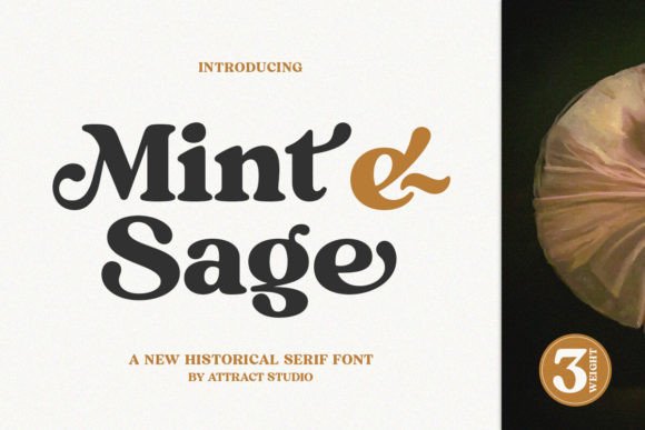 Mint and Sage: A Serif Font That Tells a Story