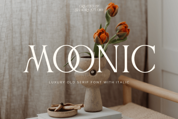 Moonic Serif Font for Small Business Branding