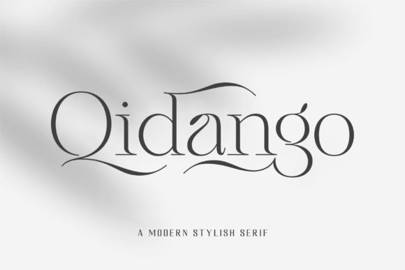 Qidango: A Serif Typeface That Makes Campaign Messages Instantly Clear