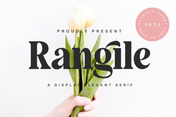 Rangile: A Serif Font That Brings Modern Elegance to Web Design