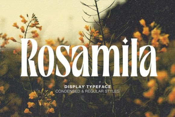 Rosamila: A Serif Font to Elevate Your Small Business Brand