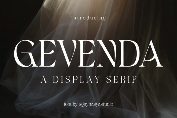 Testing Gevenda: A Web Designer’s Review of This Display Serif