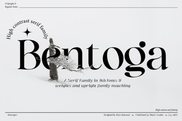 Why Bentoga Serif Font Makes Your Small Business Look Instantly Polished