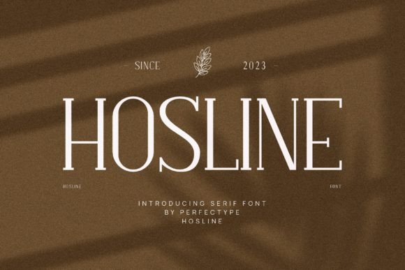 Why Hosline Serif Belongs in Your Next Web Design Toolkit